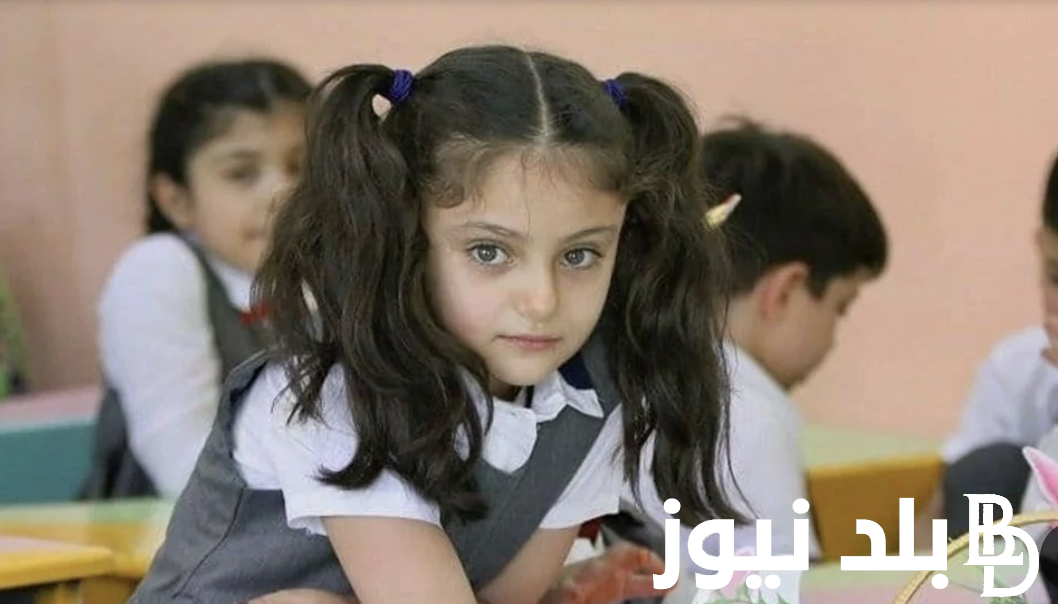 Welcome Back.. موعد الدراسة 2025 في مصر للمدارس والجامعات وخطوات التقديم فى الجامعات المصرية وشروط التقديم